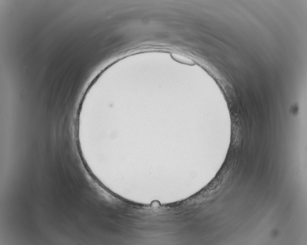 X0000116381527201001131758