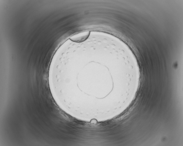 X0000116381529201001131758