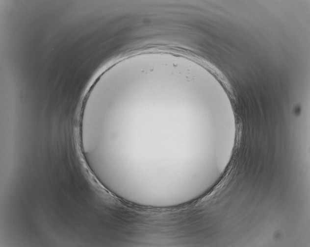X0000116381530201001131758
