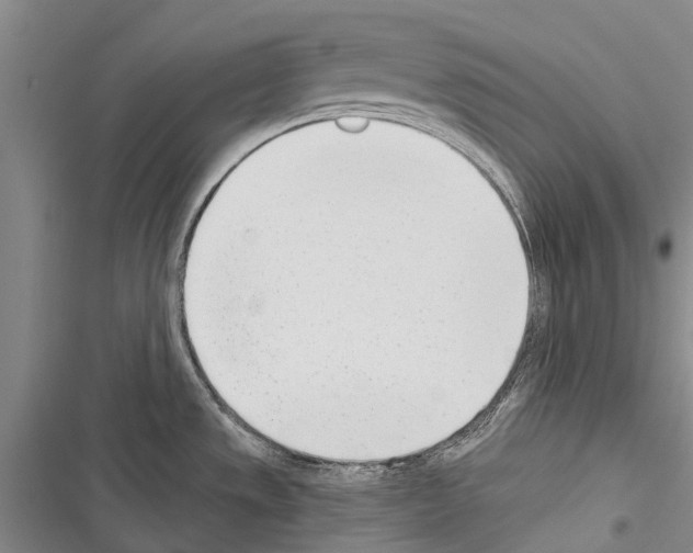 X0000116381533201001131758