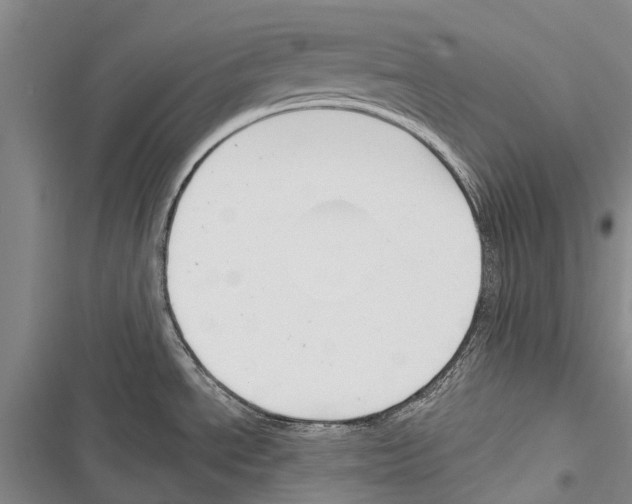 X0000116381534201001131758