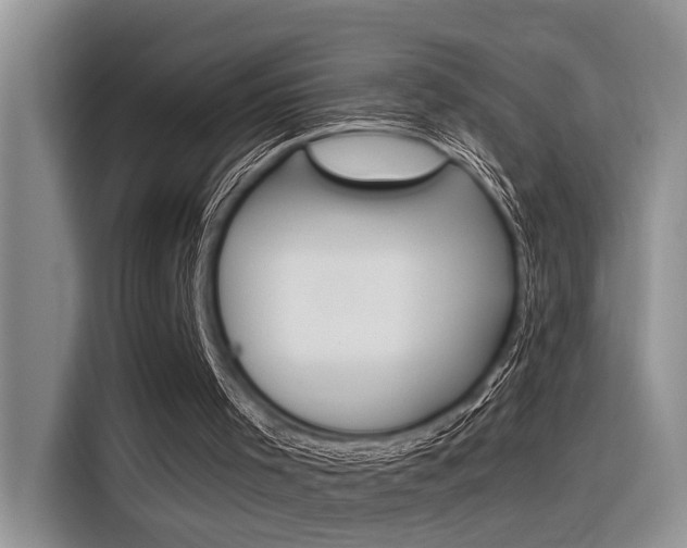 X0000116390001200912021015