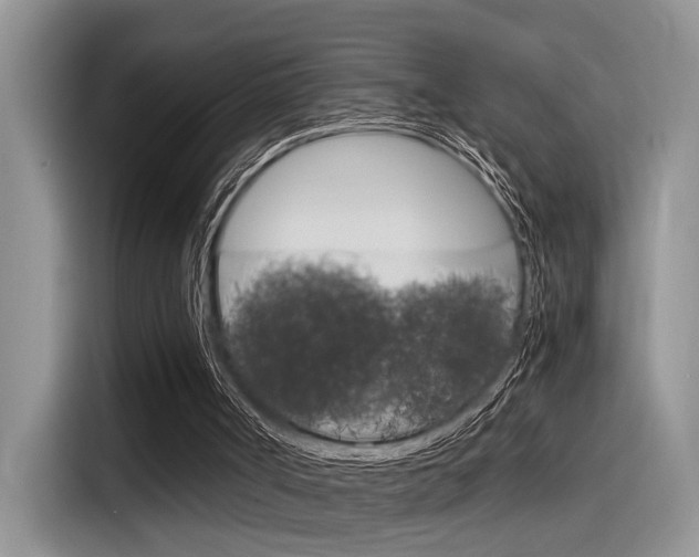 X0000116390002200912021015
