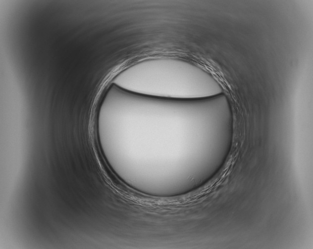 X0000116390003200912021015