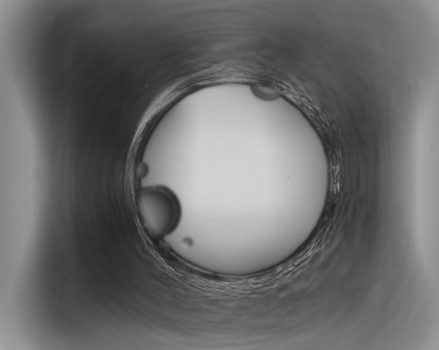 X0000116390004200912021015