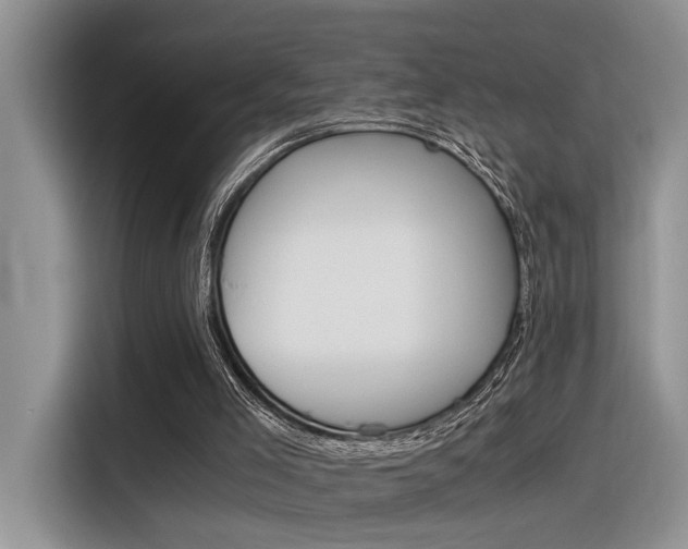 X0000116390005200912021015