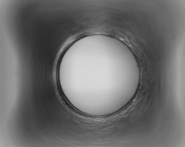 X0000116390006200912021015