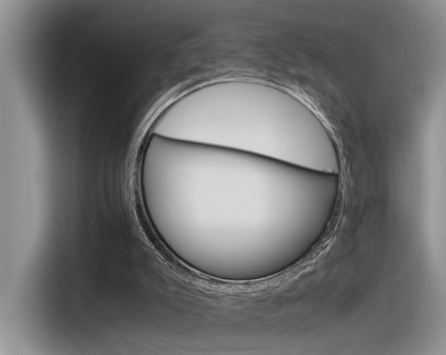 X0000116390007200912021015