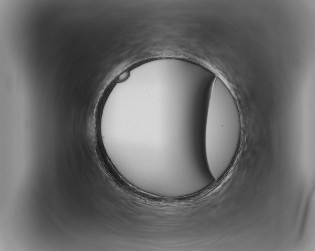 X0000116390008200912021015