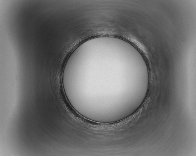 X0000116390009200912021015