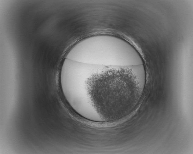 X0000116390010200912021015