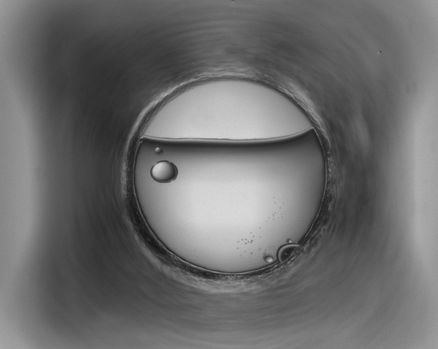 X0000116390012200912021015