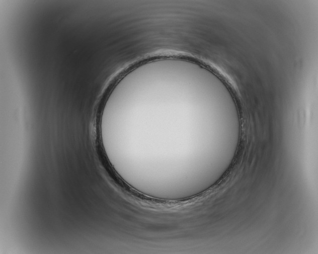X0000116390015200912021015