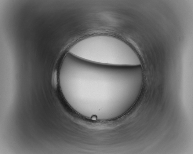 X0000116390020200912021015