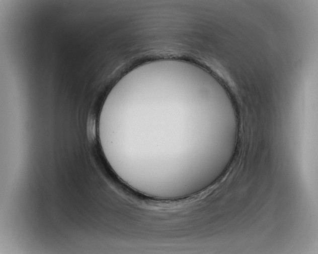 X0000116390021200912021015