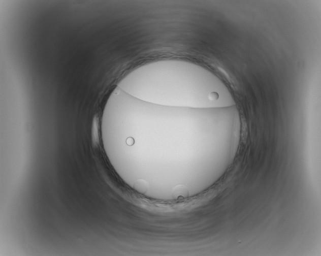 X0000116390022200912021015