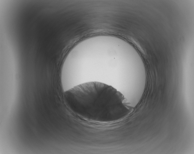 X0000116390023200912021015