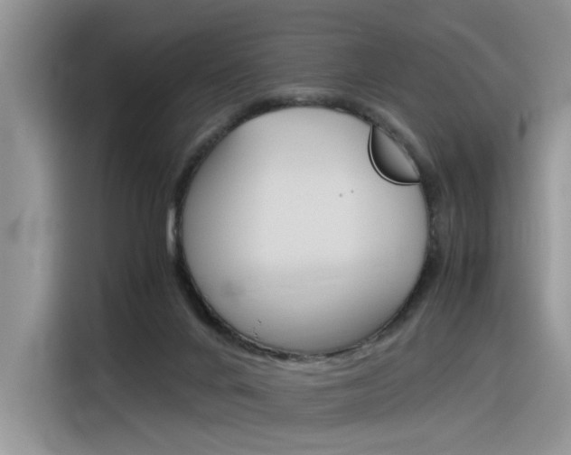 X0000116390024200912021015