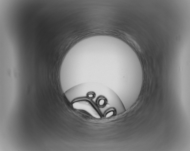 X0000116390025200912021015