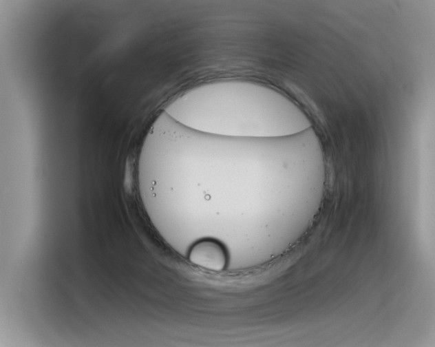 X0000116390026200912021015