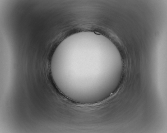 X0000116390029200912021015