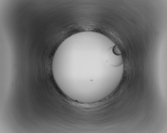 X0000116390030200912021015