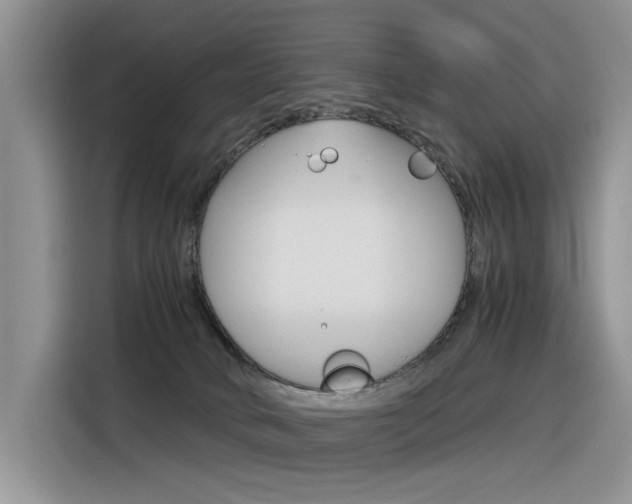 X0000116390034200912021015