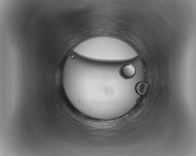 X0000116390036200912021015