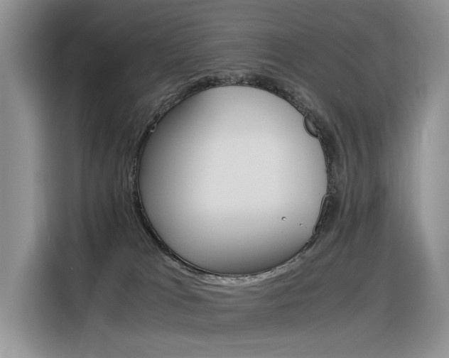 X0000116390037200912021015