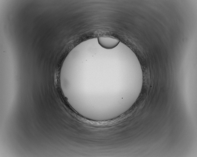 X0000116390038200912021015