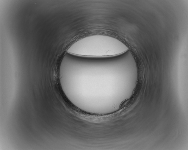 X0000116390040200912021015