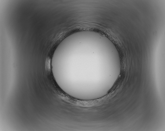 X0000116390041200912021015