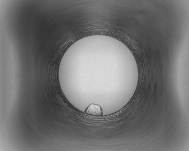 X0000116390043200912021015