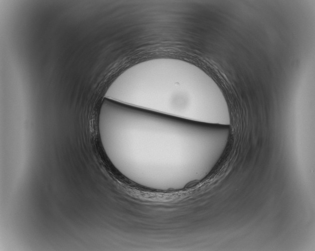 X0000116390044200912021015