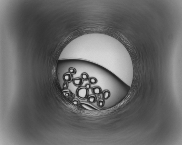 X0000116390045200912021015