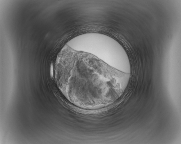 X0000116390046200912021015