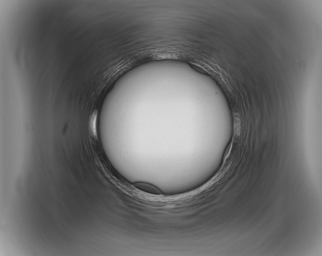 X0000116390047200912021015