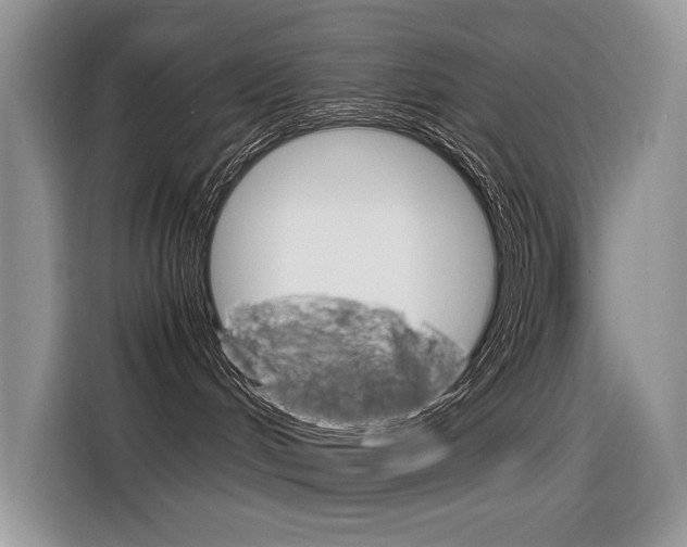 X0000116390048200912021015