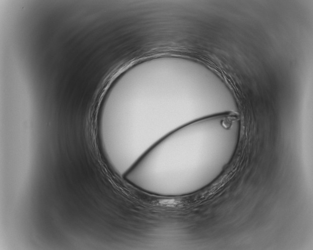 X0000116390050200912021014