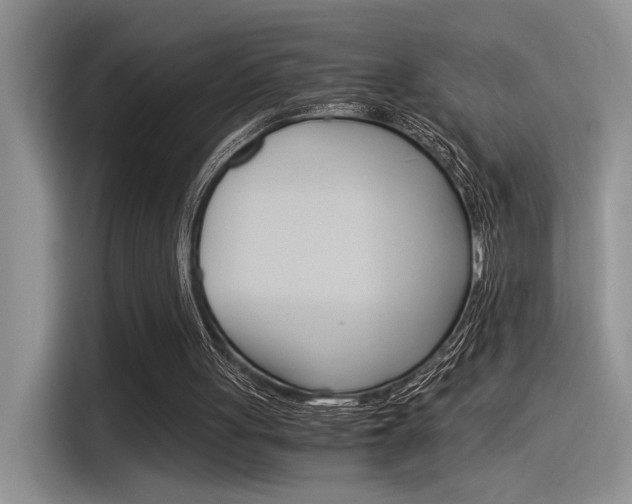 X0000116390051200912021014
