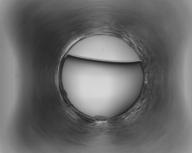 X0000116390052200912021014