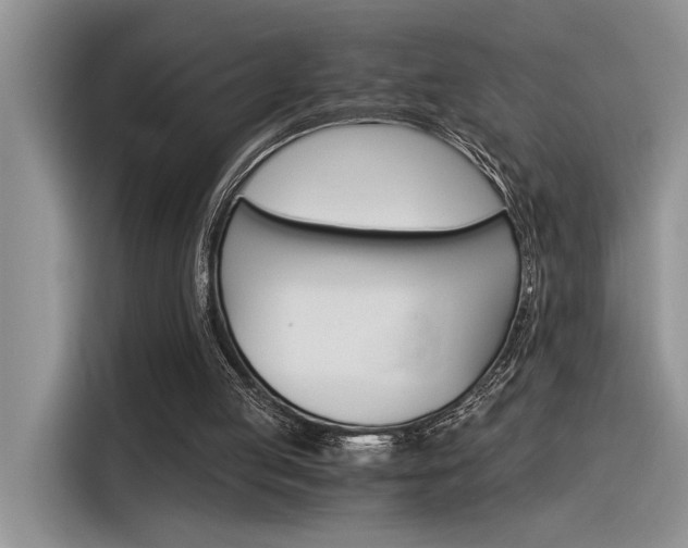 X0000116390053200912021014