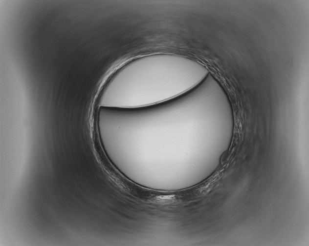 X0000116390054200912021014