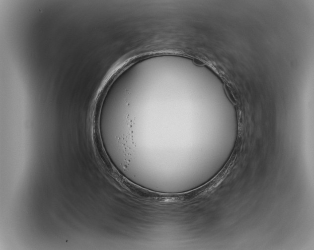X0000116390056200912021014