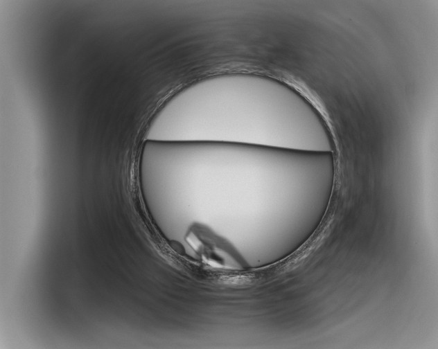 X0000116390057200912021014