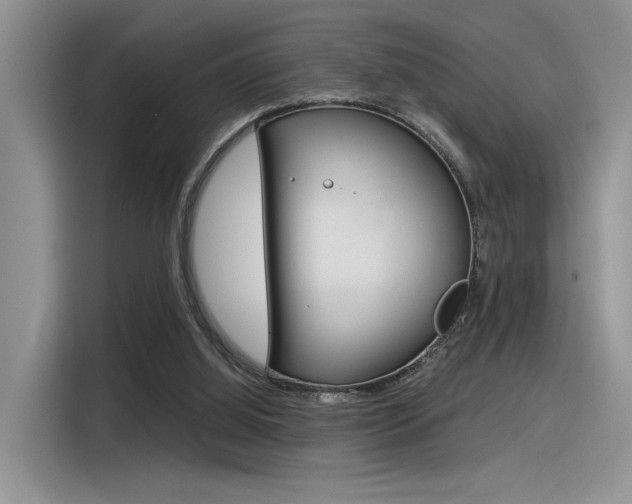 X0000116390060200912021014