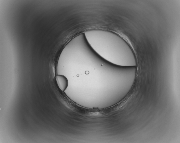X0000116390061200912021014
