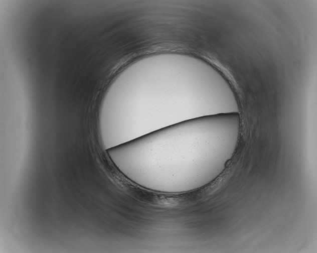 X0000116390062200912021014