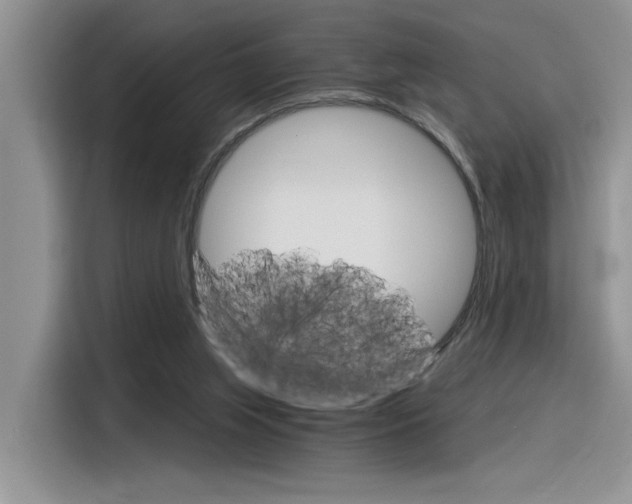 X0000116390063200912021014