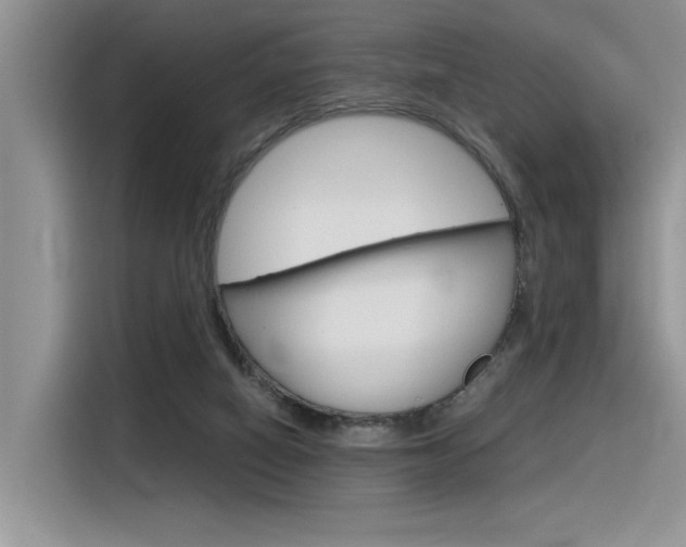 X0000116390066200912021014